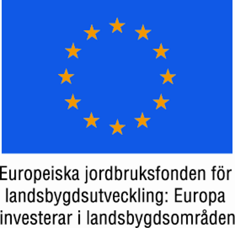 EU-finansierade projekt